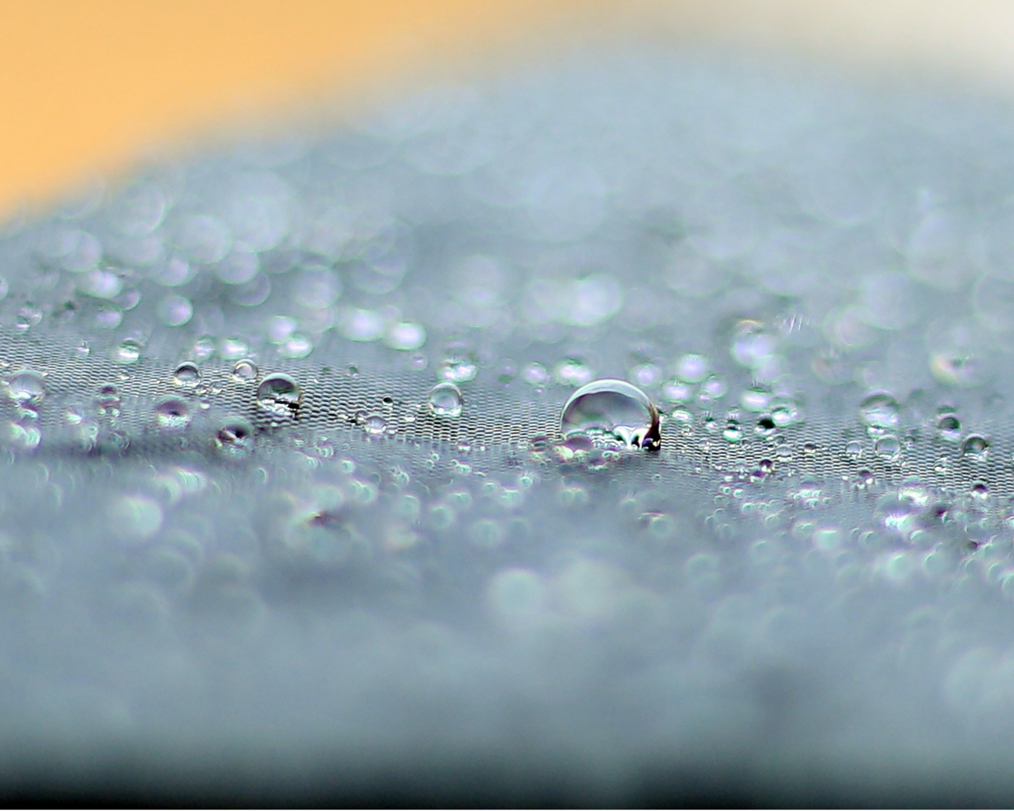 A picture of a drop